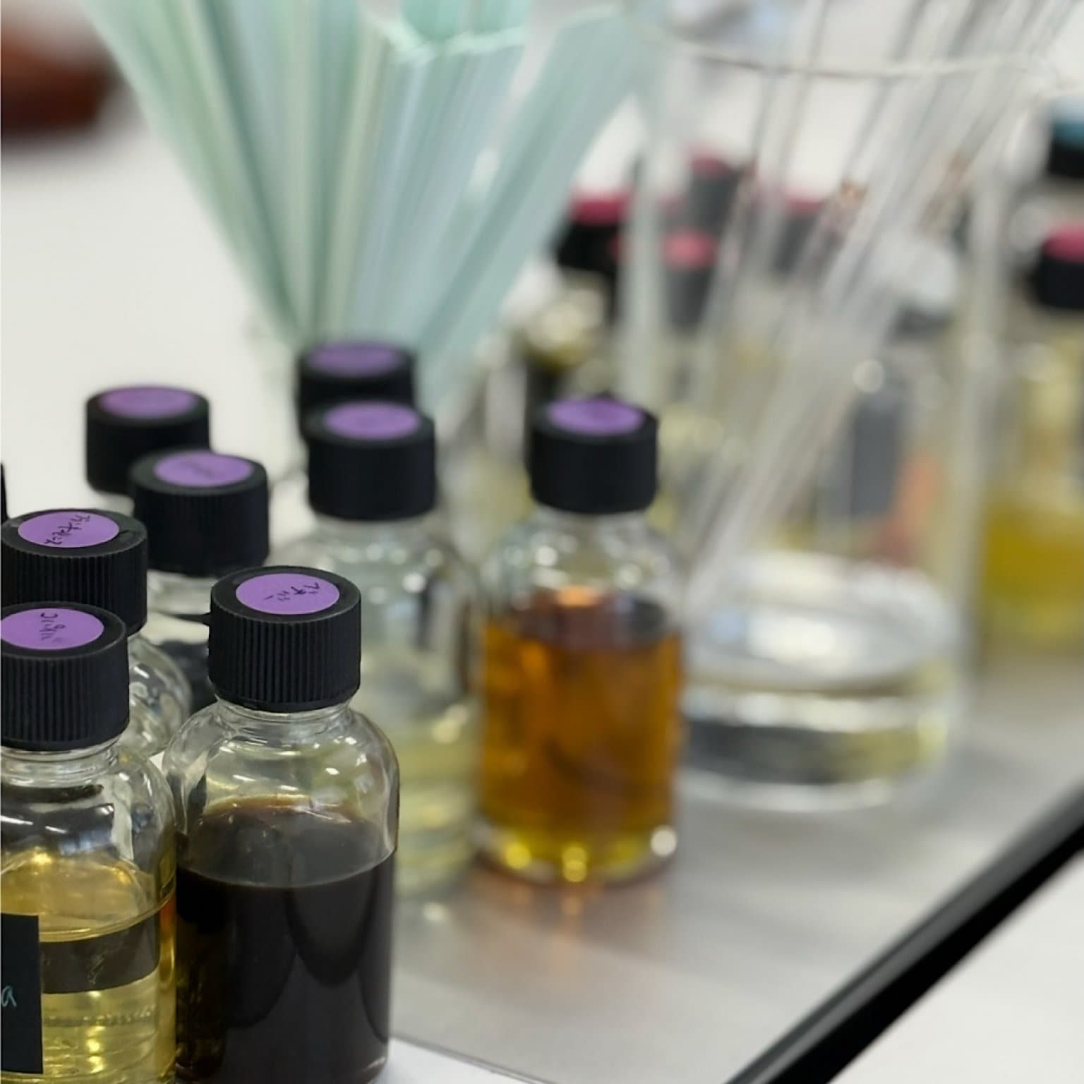 香りとタロットで整える、私だけの時間2月