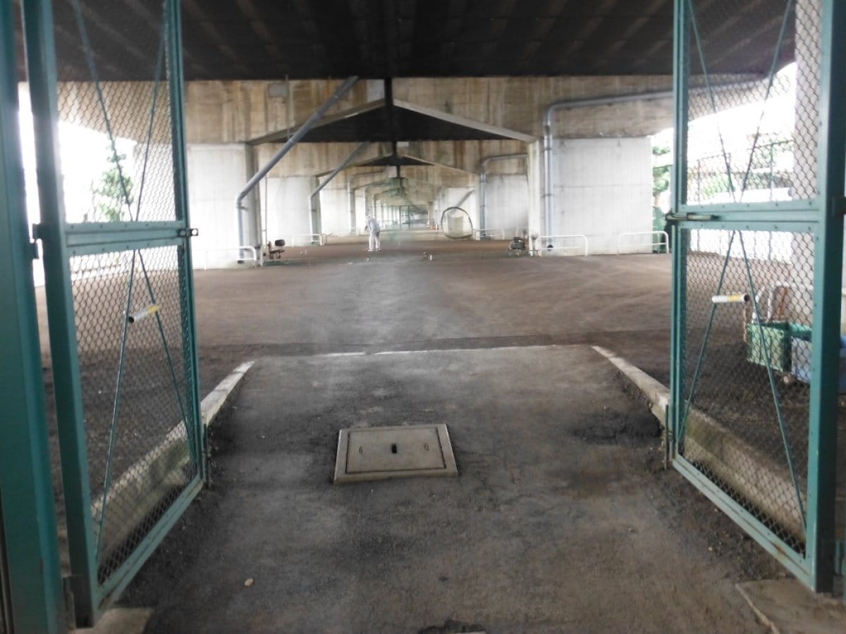 北烏山地区体育室こどもスポーツ祭り2024　前売り券