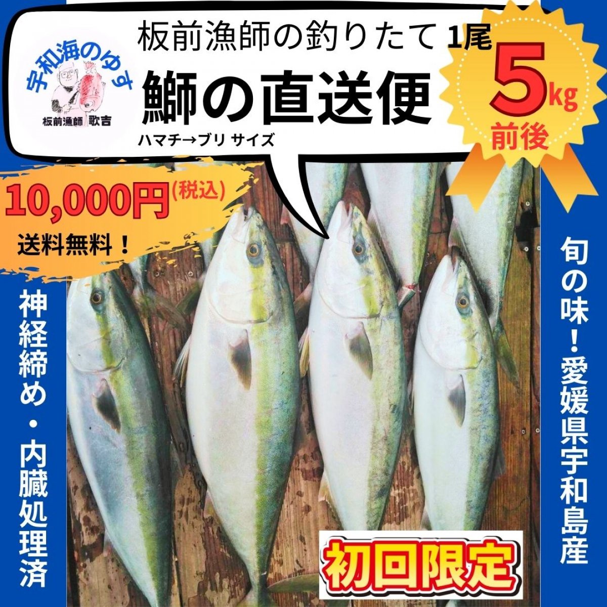 旬の鰤(ブリ)釣りたて直送便約5㎏/愛媛県宇和島産