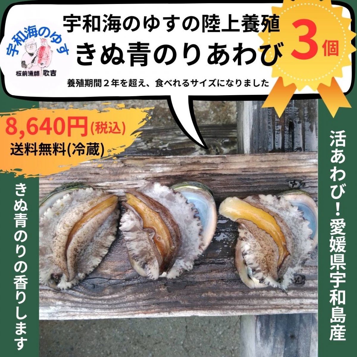 【陸上養殖】きぬ青のりアワビ/愛媛県宇和島産