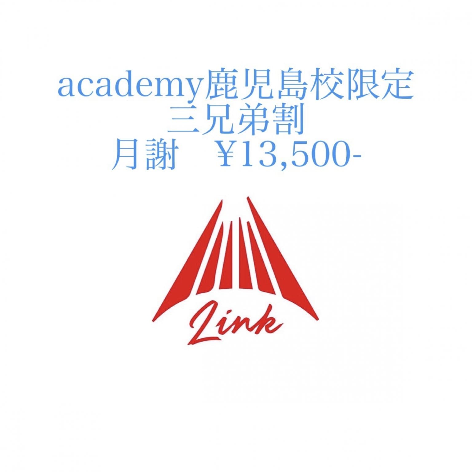  academy月謝（鹿児島校限定三兄弟割）