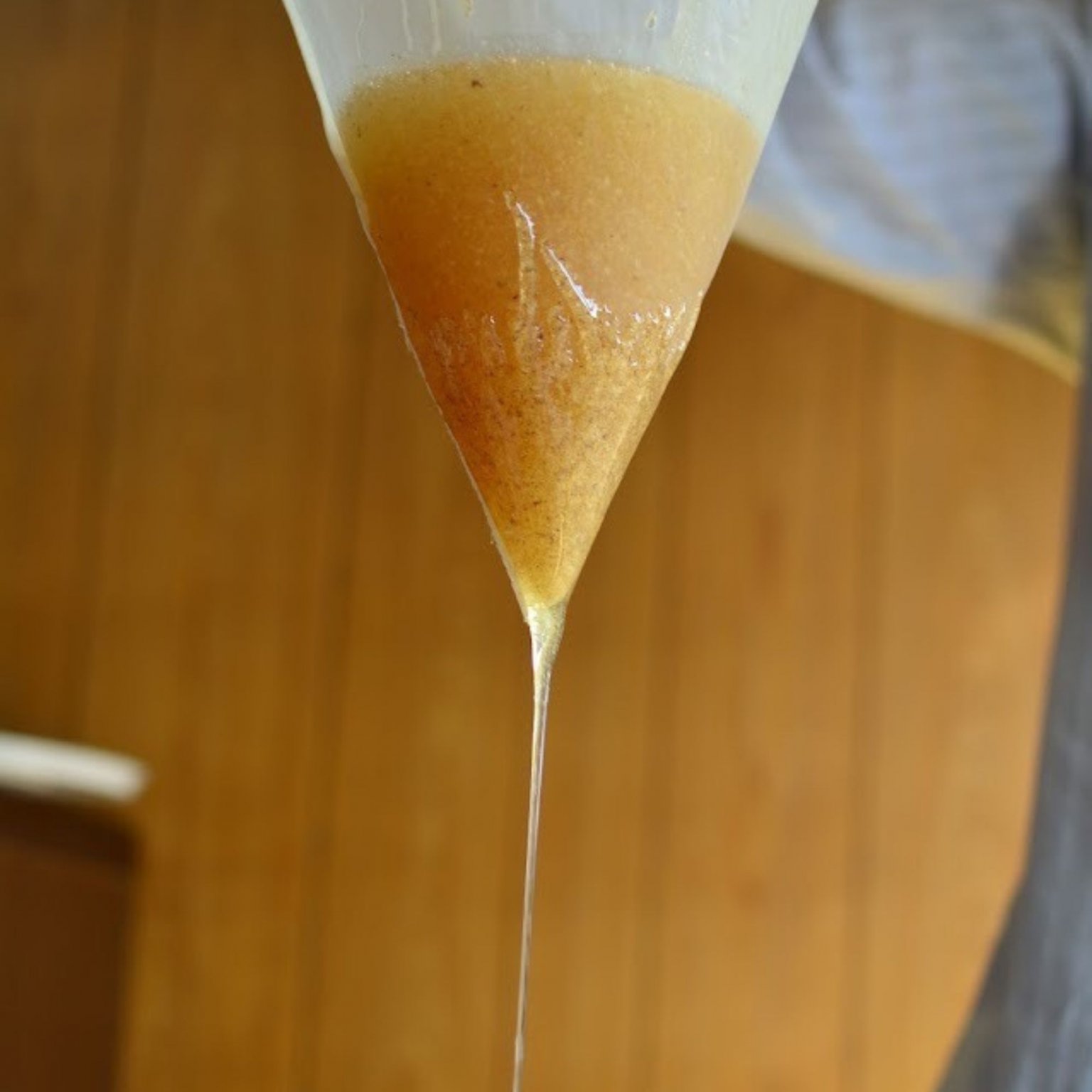 ニホンミツバチ採蜜体験　はちみつ食べ放題（巣蜜と選べるお土産付き）【店頭払い専用】9月18日