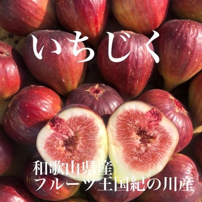 和歌山県フルーツ王国紀の川産　いちじく4パック入り1.4kg(16~20個)【送料無料】＊一部地域除く