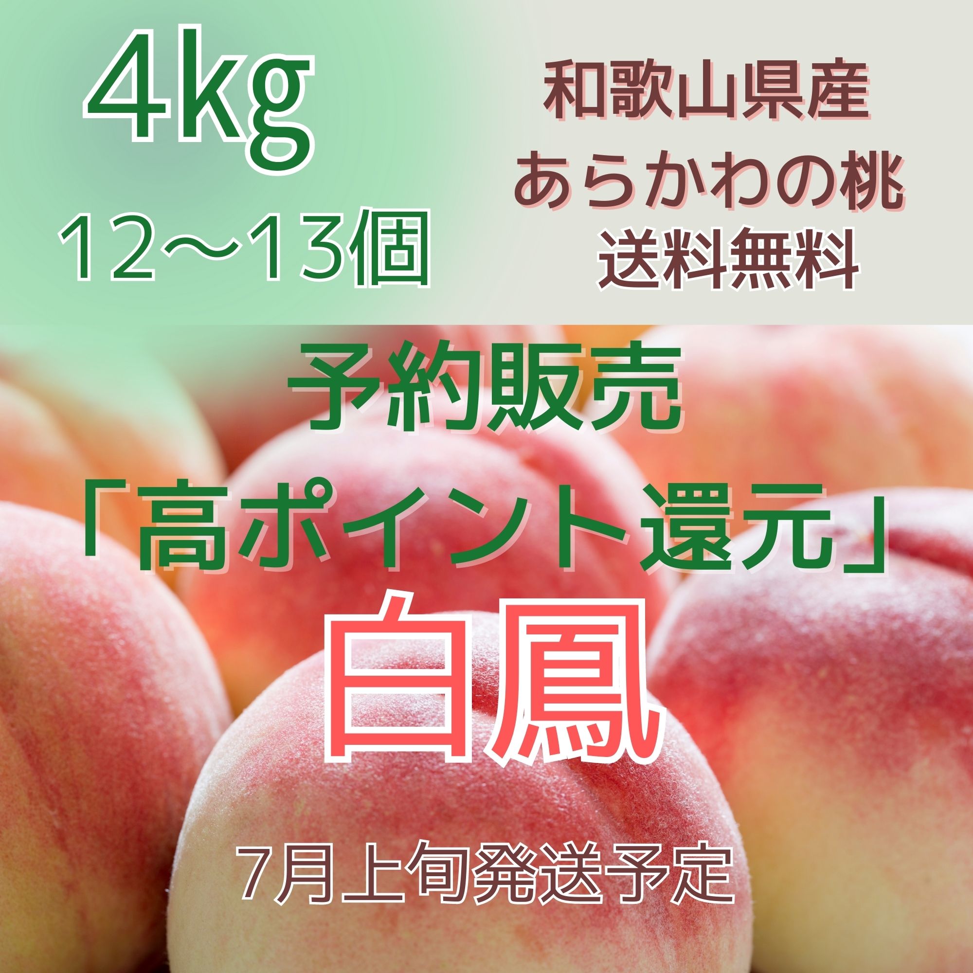 item_20230527_143821_543_ORG.jpg