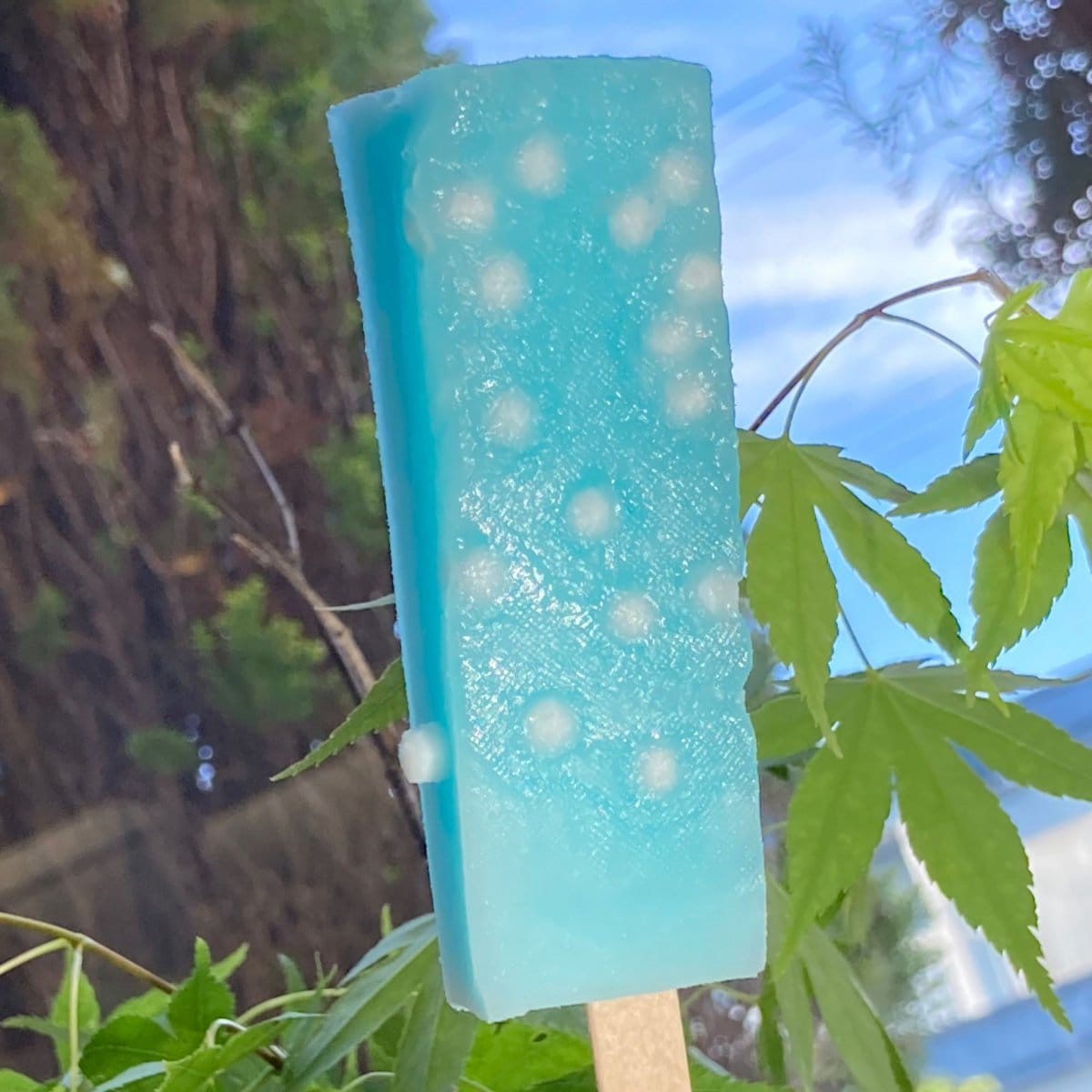 暑い夏にピッタリ！美味しくカルシウムを食べよう！【脂質ゼロ・神秘の天然水仕込み！】もっちり食感アイスくずバー　累計１万本突破記念で高ポイントプレゼント‼くずバー（9種類各1本セット）北海道八雲町くら屋特製スイーツ