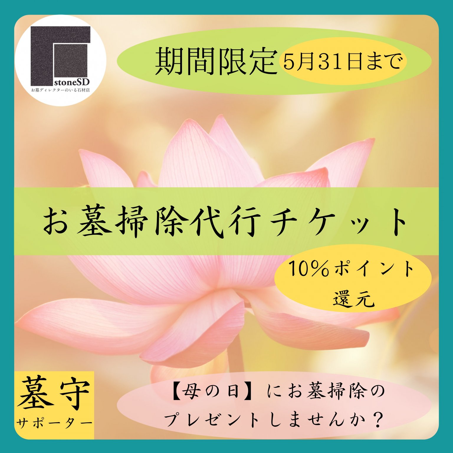 【母の日参り】カーネーションを添えて～お墓掃除代行サービス※5月31日締切