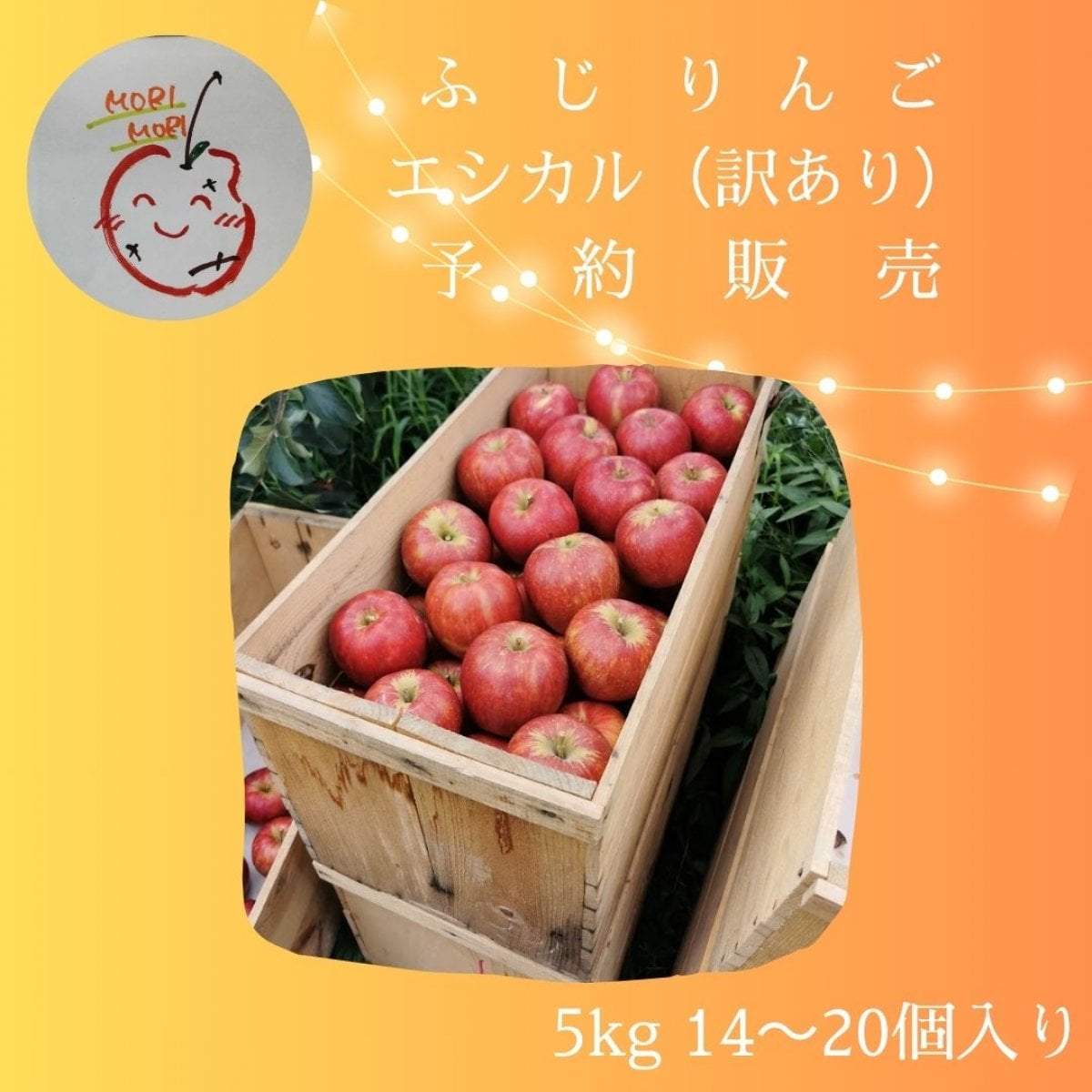 【ふじ　訳ありエシカルりんご】予約販売  5kg(14〜20個入り)