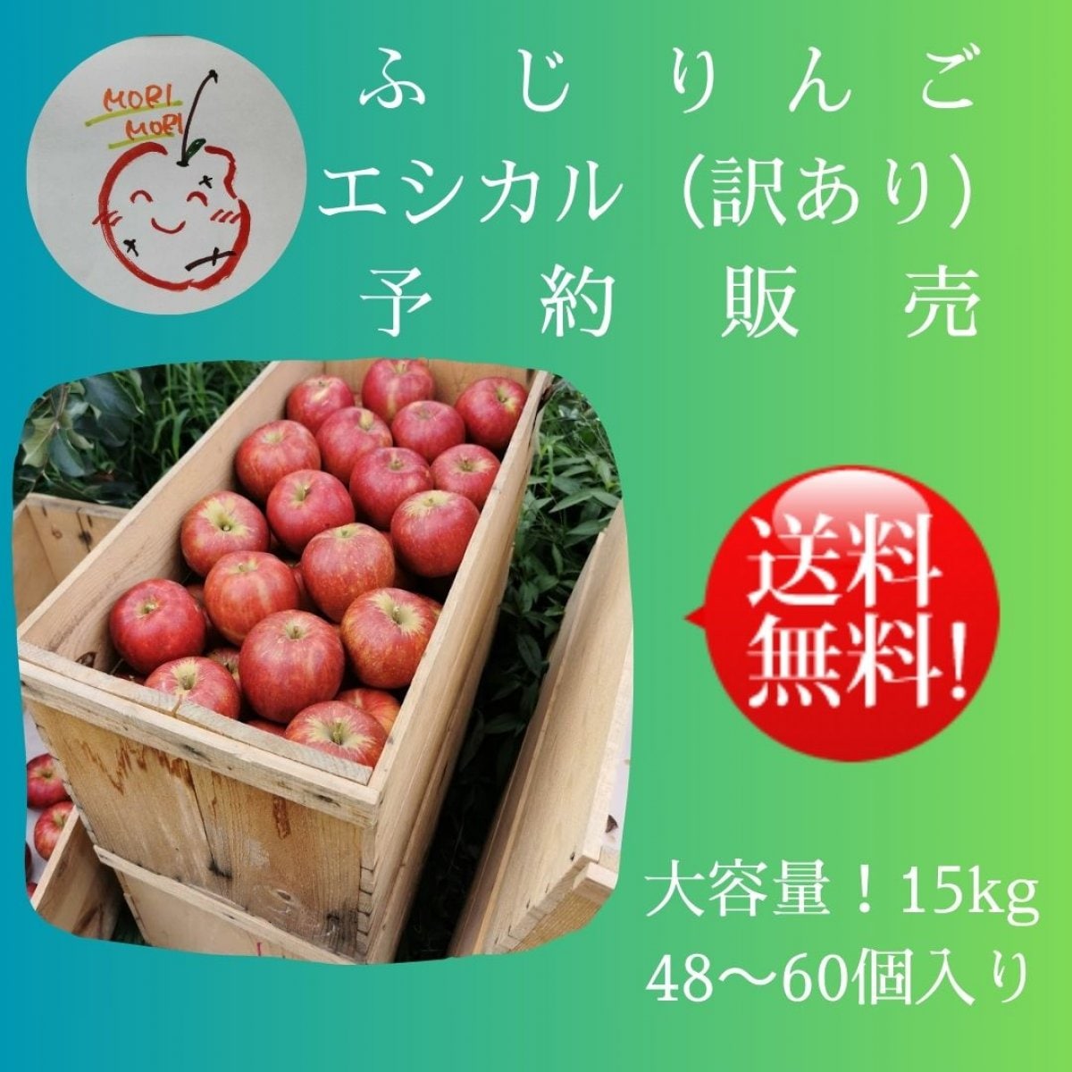 【送料無料！！エシカルりんご大容量 予約販売】　品種ふじりんご  15kg(48〜60個入り)