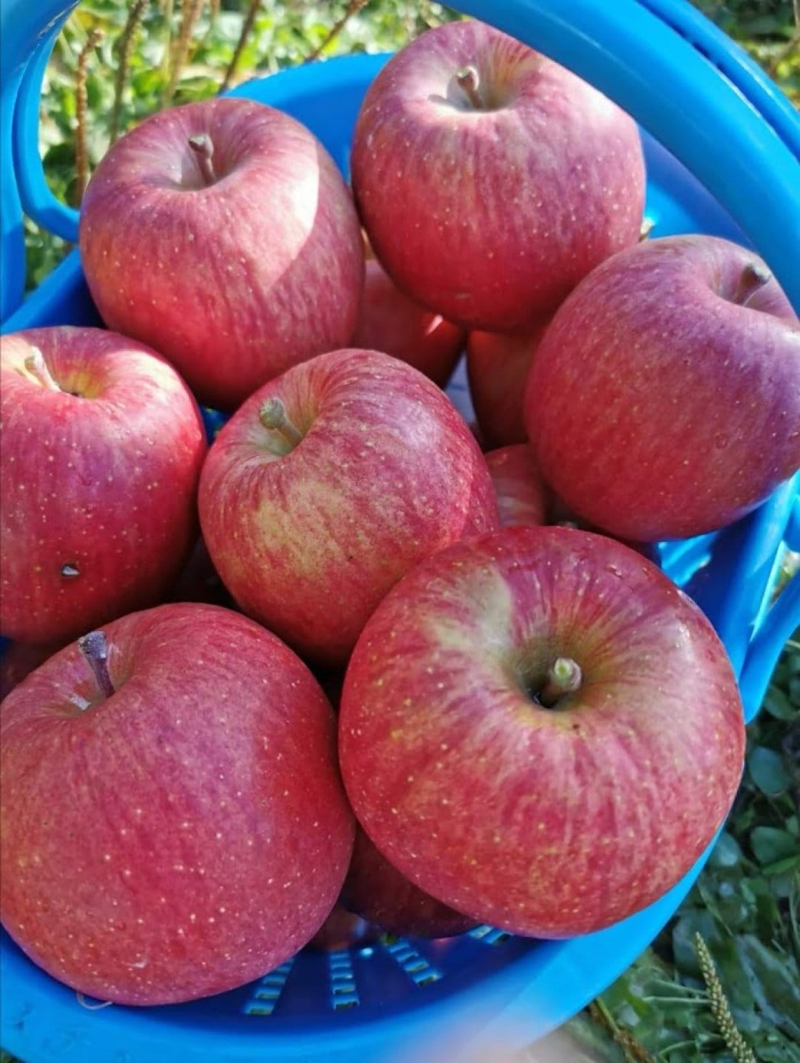 【オンラインでシェアオーナー】