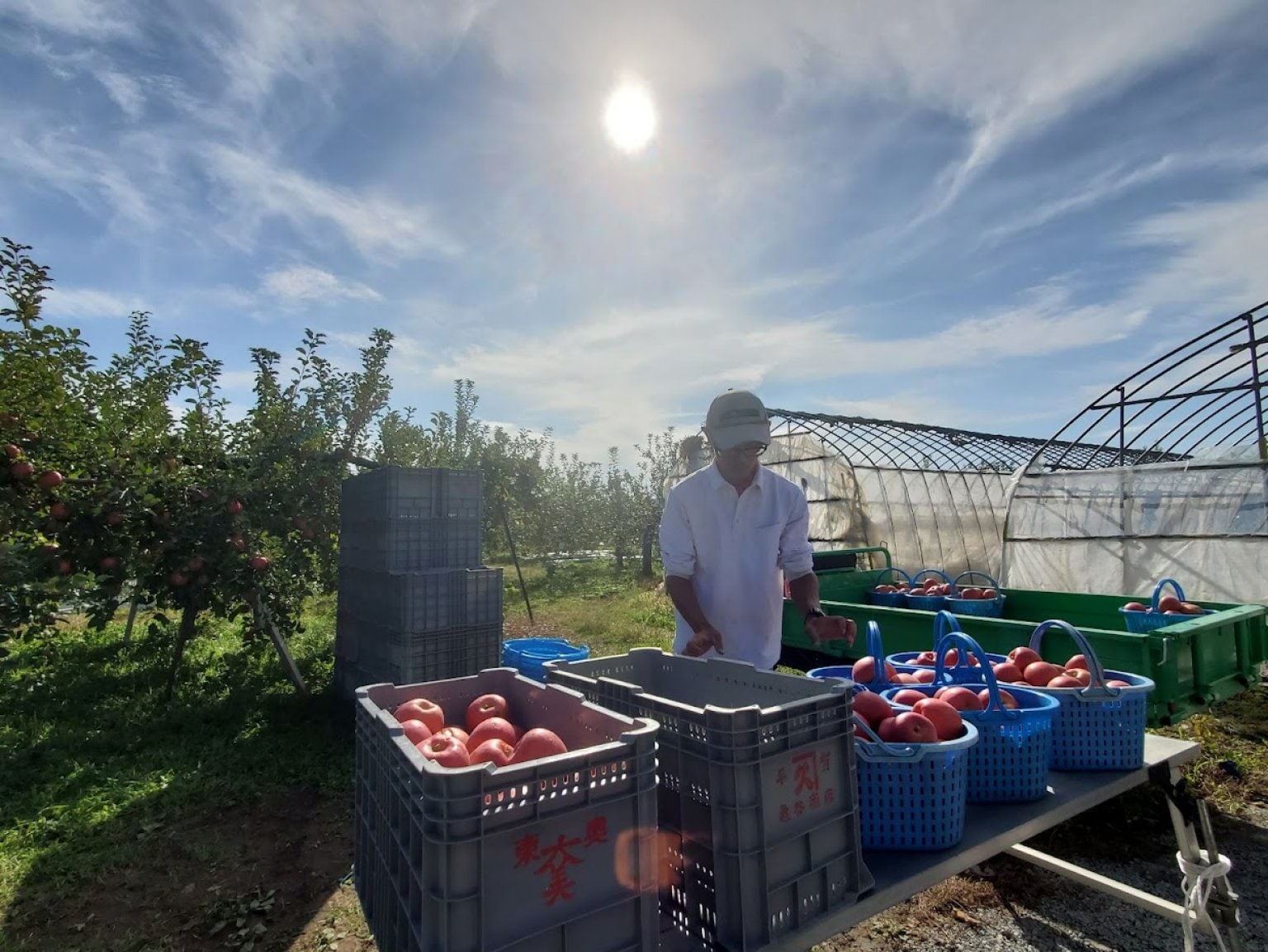 【オンラインでシェアオーナー】