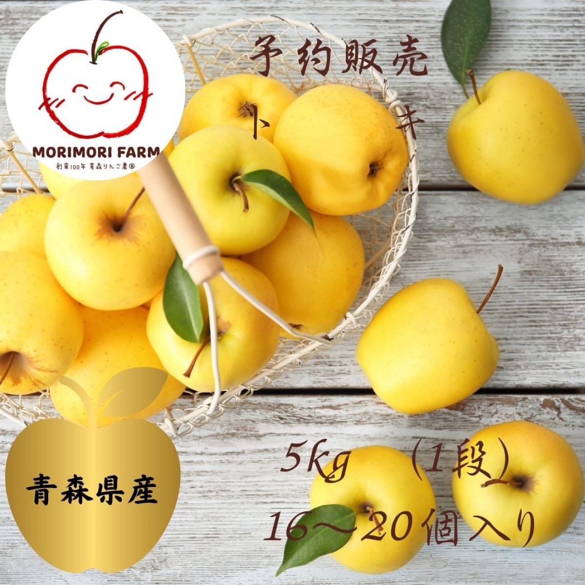 MORIMORI FARM/オンラインりんごもぎ体験/龍神数秘