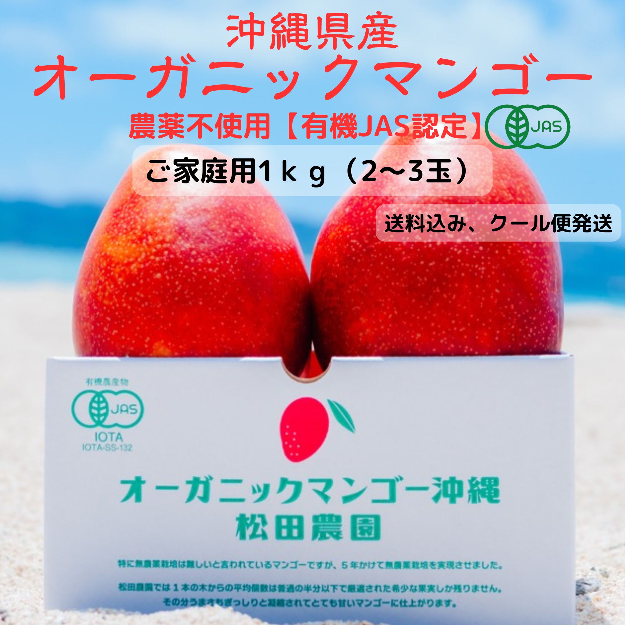 沖縄産アーウィンマンゴー(秀4kg)クール発送 送料込み、7月中旬頃より順次発送予定】【クール便発送】【ご家庭用1