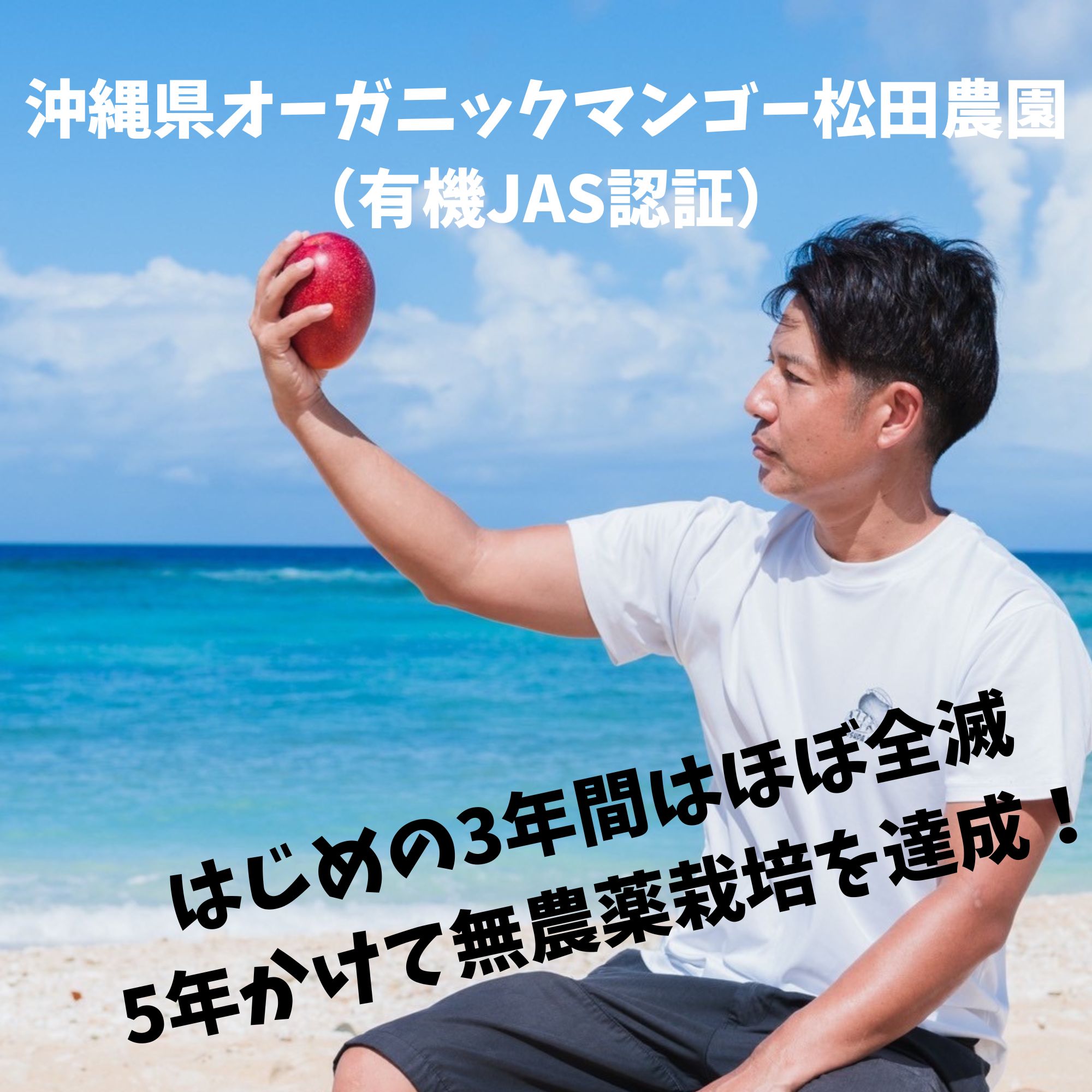 送料込み、7月中旬頃より順次発送予定】【クール便発送】【ご家庭用2