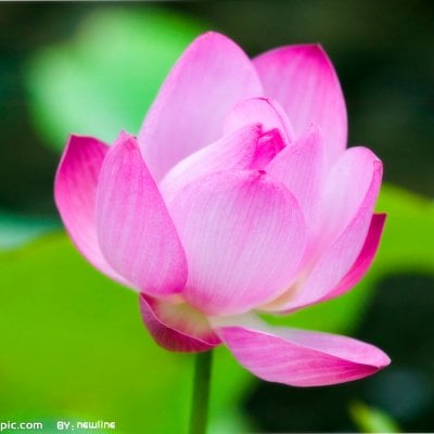 アカシックレコード・チャネリング