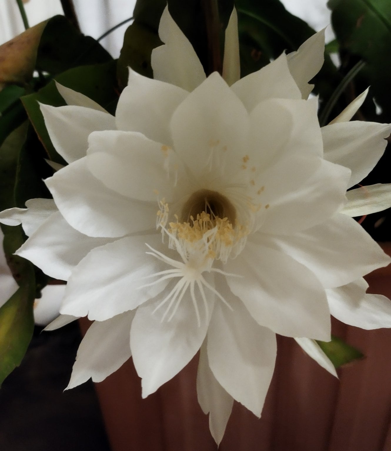 人生が180度好転するエネルギー書き換えセッション「スピリチュアルライフコーチ12ステップ」の体験説明会