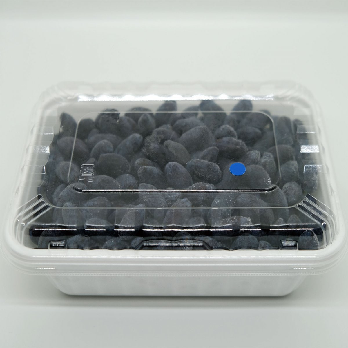 2025年産】新鮮 ハスカップ 冷凍 5kg 送料込み 【公式通販】