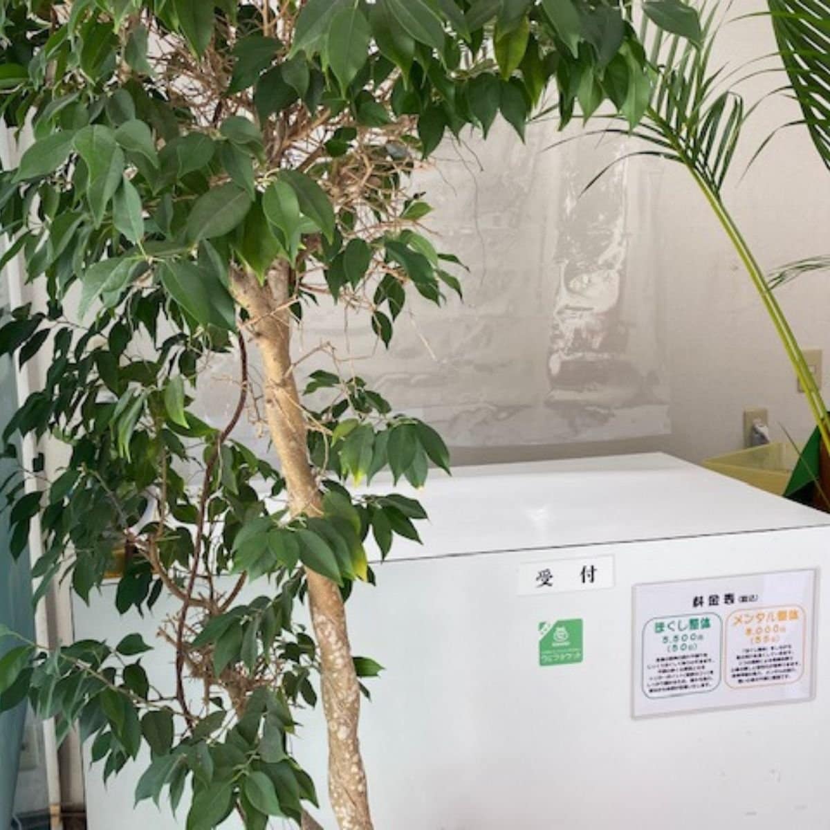 初回の方限定【ほぐし整体５０分】肩こり腰痛などお体の不調をラクにしたい方向け｜市川市市川駅｜全身深層筋マッサージ｜トリガーポイント療法｜お試し料金