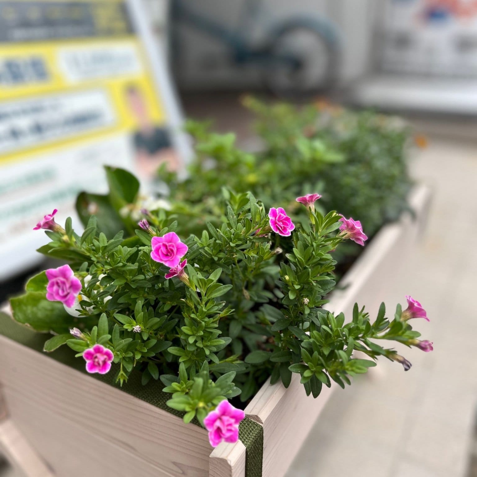 初回の方限定【ほぐし整体５０分】肩こり腰痛などお体の不調をラクにしたい方向け｜市川市市川駅｜全身深層筋マッサージ｜トリガーポイント療法｜お試し料金