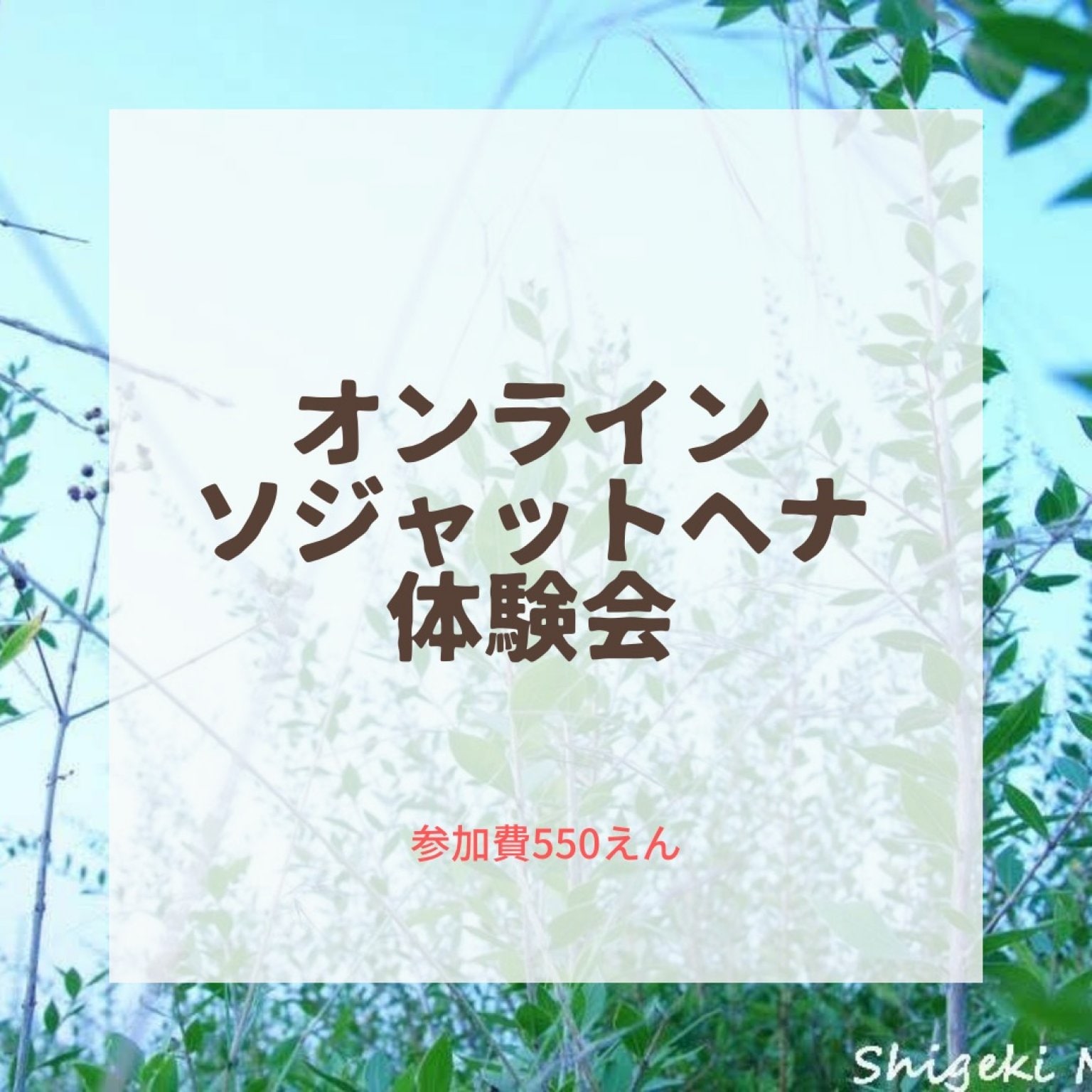3/4(土)20時 オンライン【ソジャットヘナ体験会】お申し込み2/27 締切