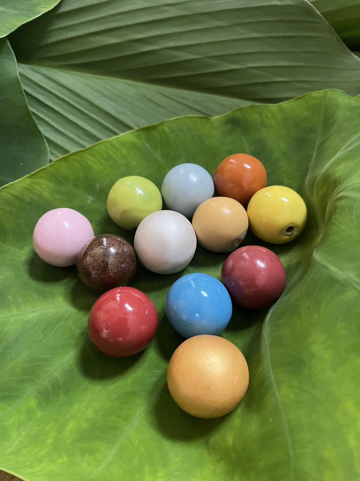 魂磨ちゃんをすでにお持ちの方用 西山茂樹先生による『魂磨（たま）ちゃん』オンライン講座