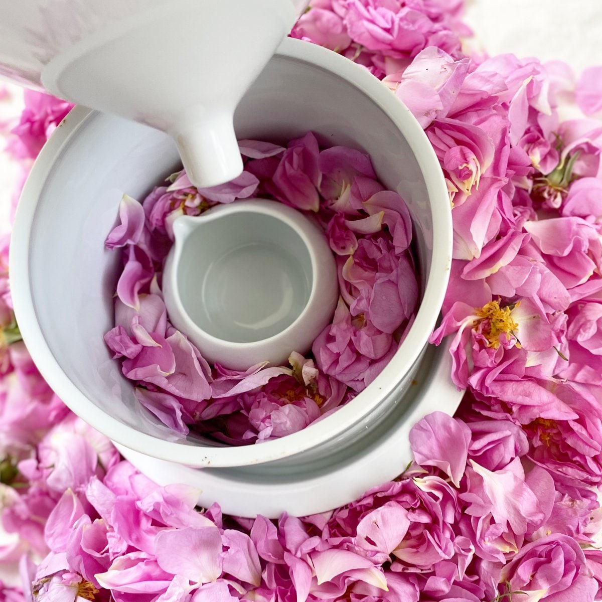 Sayuri様　専用カート