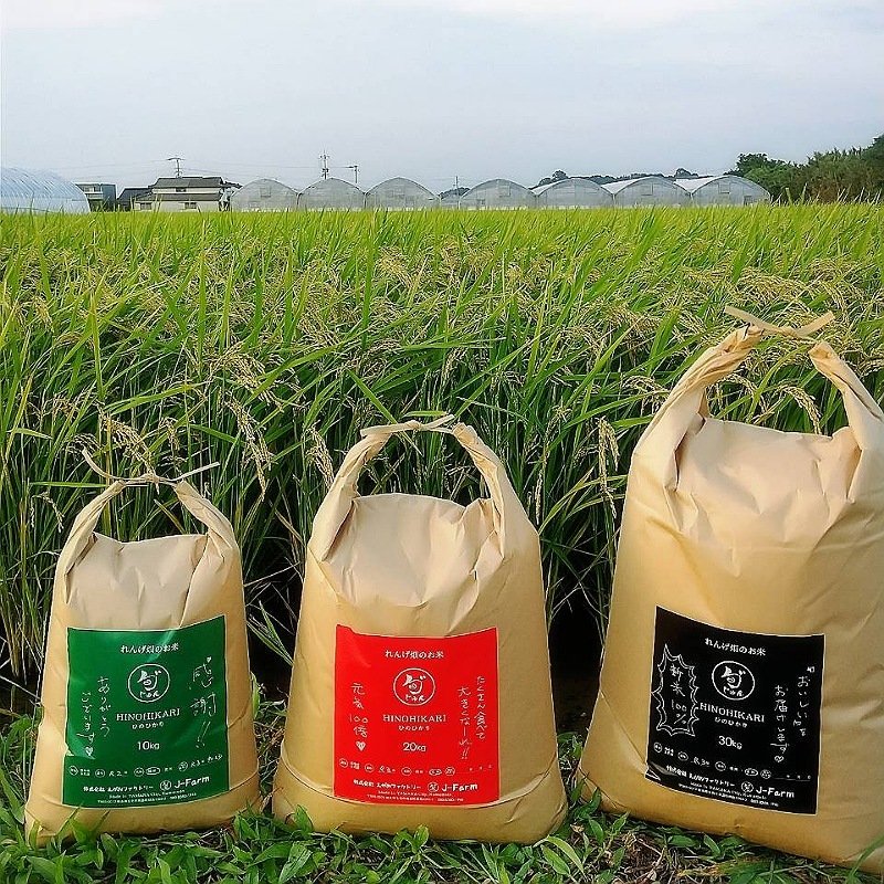 レンゲが作った玄米30キロ れんげ米 玄米30㎏《送料込み》