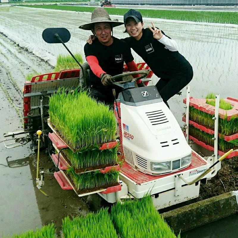 れんげ米 白米10㎏《送料込み》
