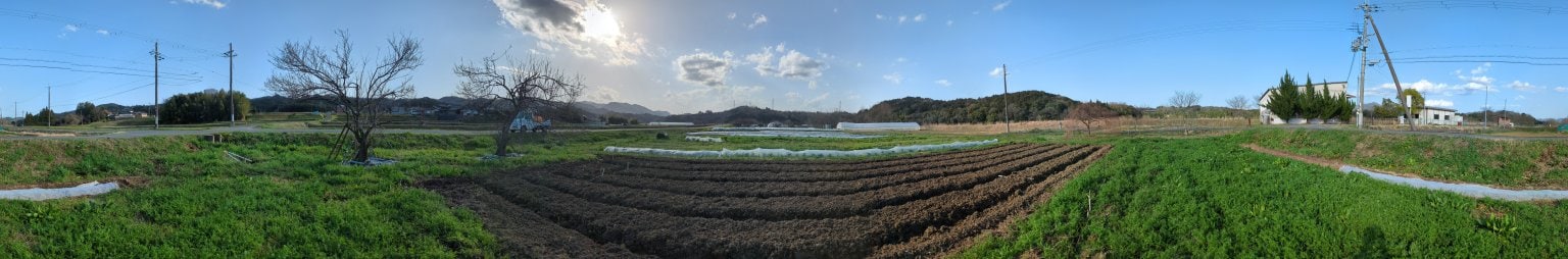 未来農園農業体験