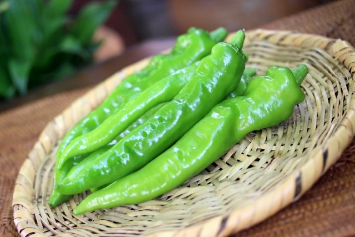 野菜セット（京都市内まで取りに来られる方）