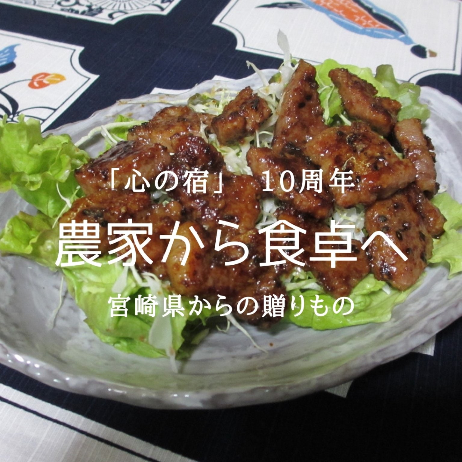 味噌カツ　唯一県外食材 宮崎からの贈りもの