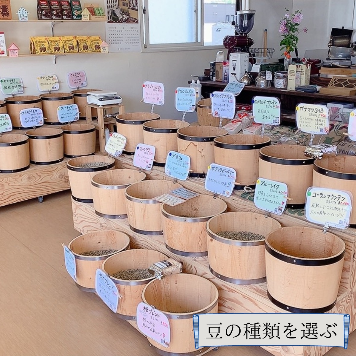 注文後焙煎珈琲】オリジナル・モカブレンド 生豆時240g 焙煎後約200g