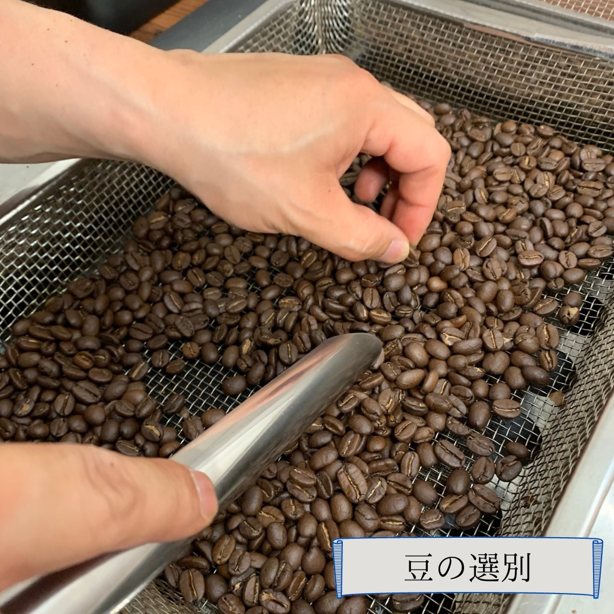 注文後焙煎珈琲】コロンビア・スプレモ 生豆時240g 焙煎後約200g