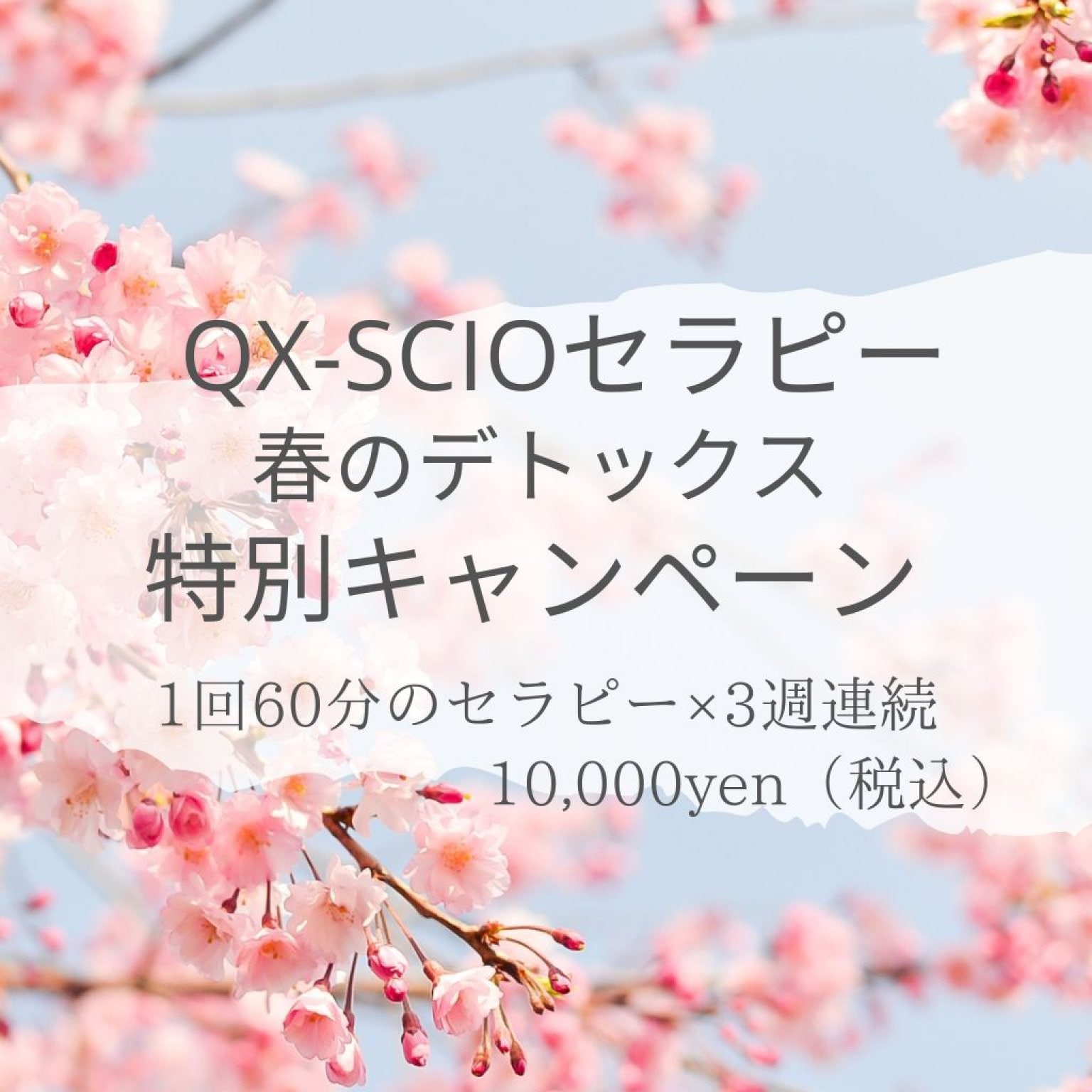 週末割引！ホメオパシー＊TBR Qx-Scioによる春のデトックス 特別キャンペーン - 日本ホメオパシー