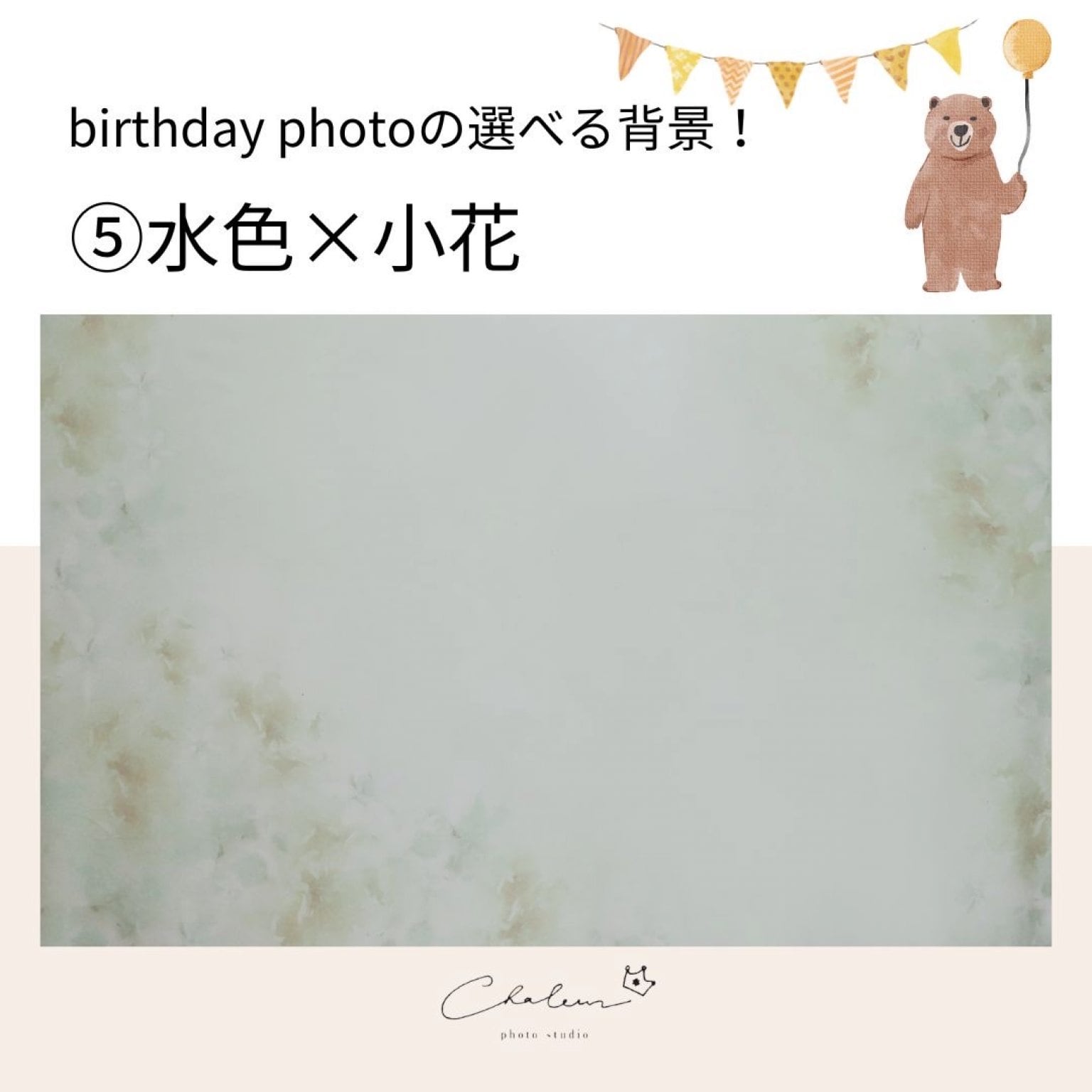 プレミアム撮影プラン【平日】［シャルール］