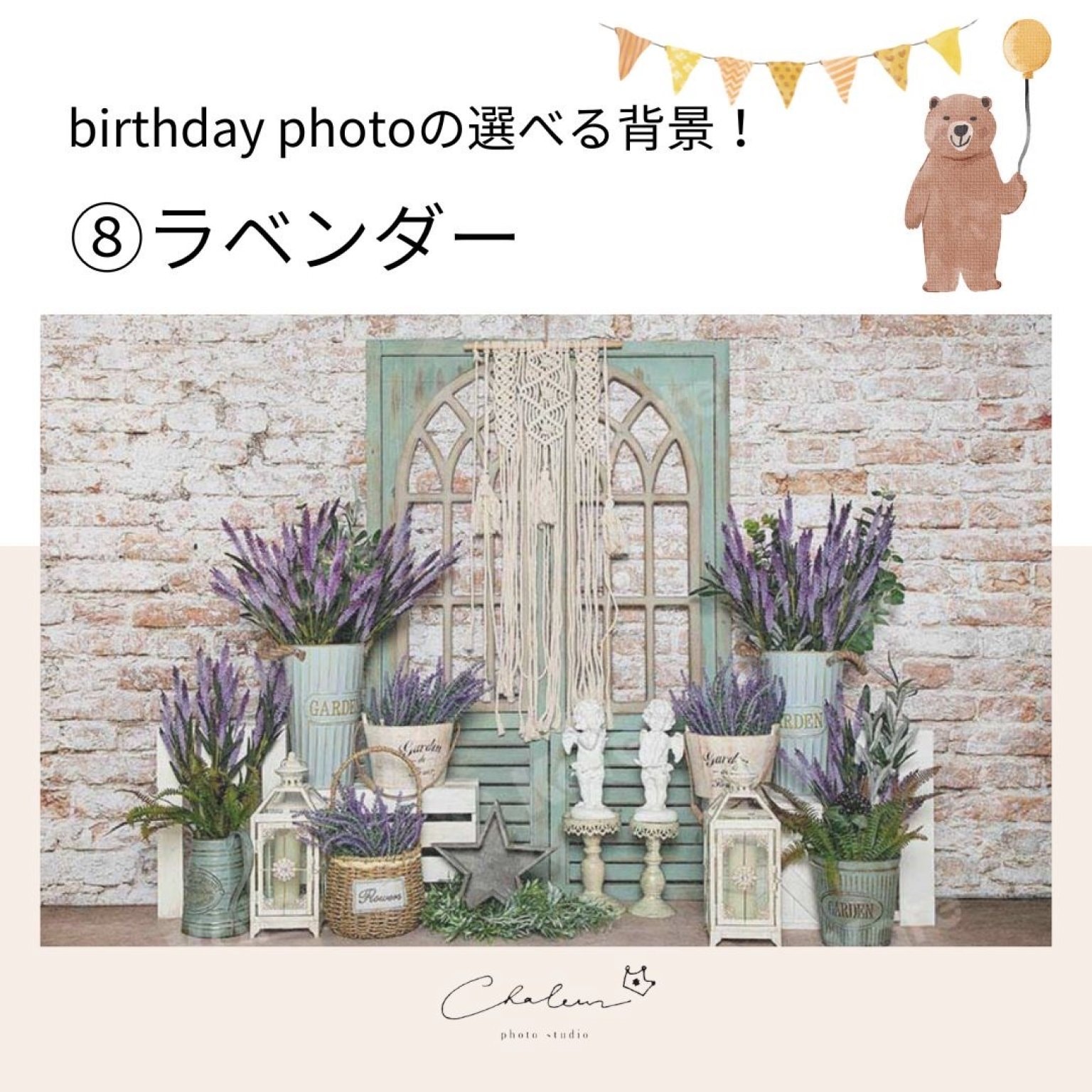 プレミアム撮影プラン【平日】［シャルール］