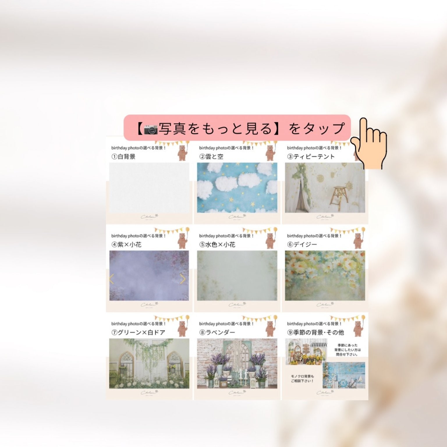 ライト撮影プラン【平日】［シャルール］