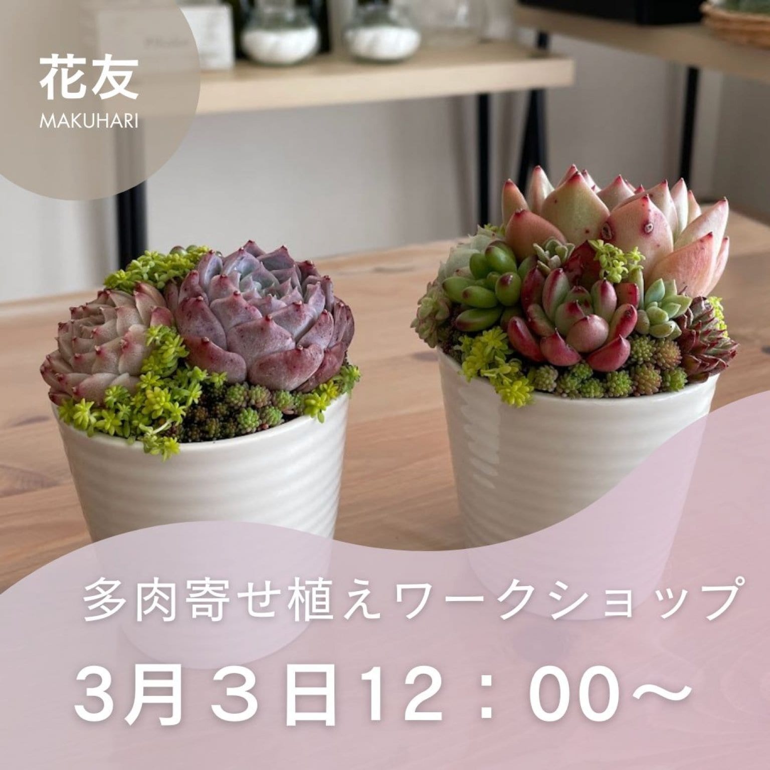 花友フェスタ12時～「多肉寄せ植えワークショップ」
