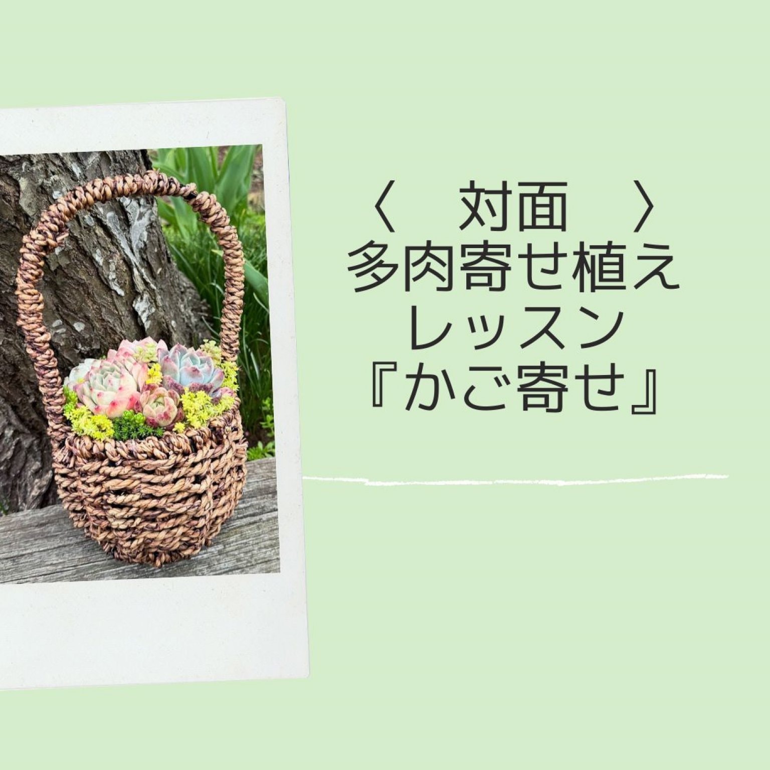 〈多肉植物〉はじめてでもかんたん、かご寄せレッスン・Pikake（ピカケ）