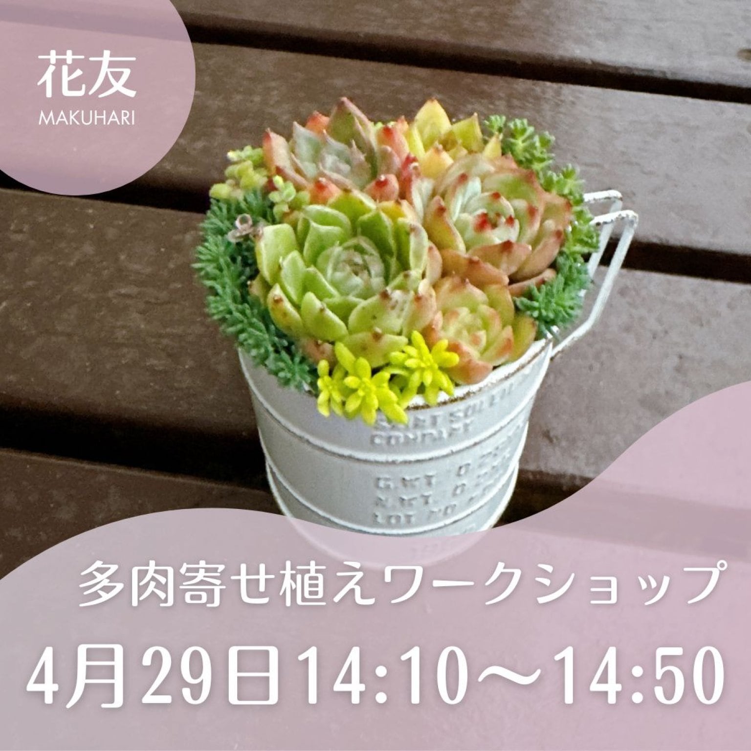 特集商品画像