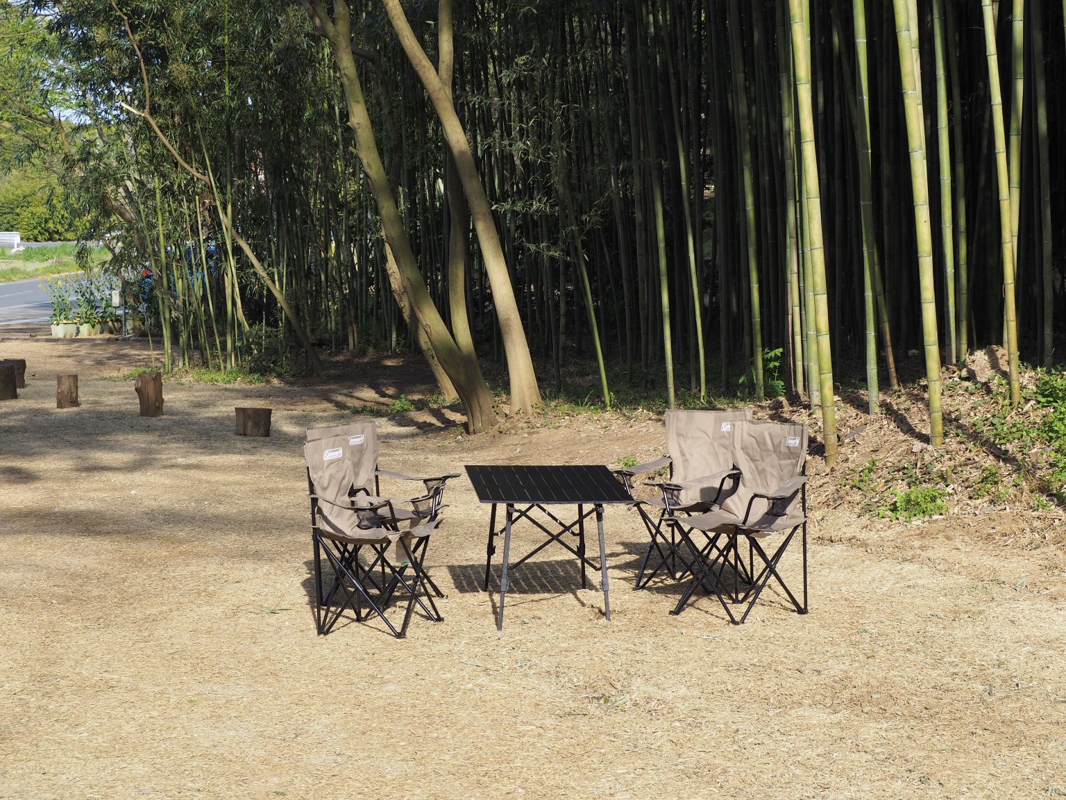 レンタル【イス】コールマン/リゾートチェア