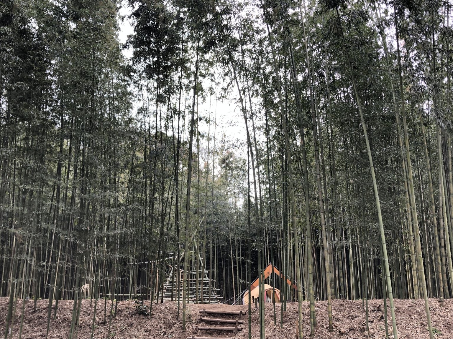 キャンプ場開拓&竹林整備体験チケット
