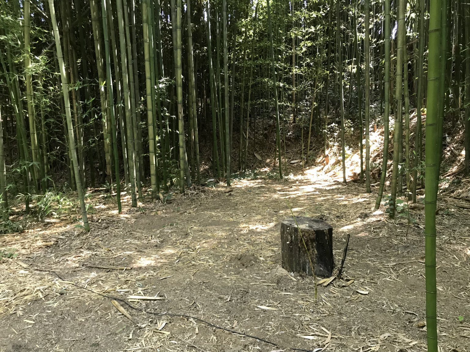 【平日】宿泊フリーサイト用(ソロ)|サイト利用チケット　※施設利用料込み