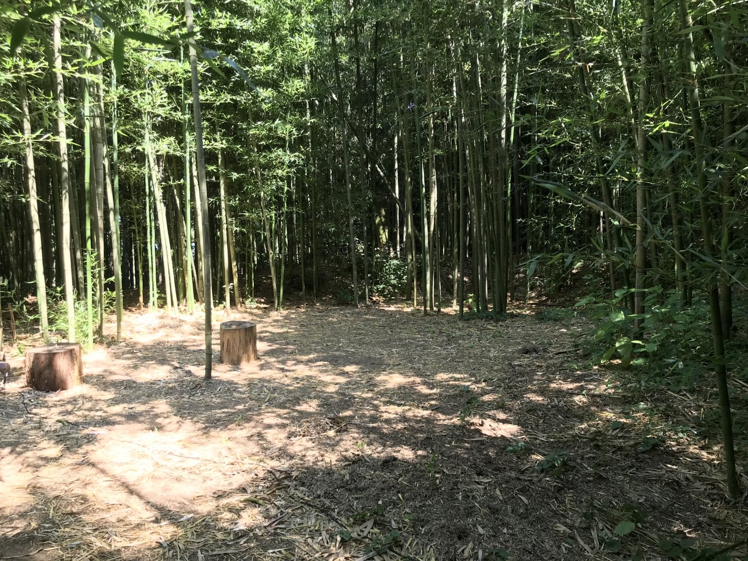 【平日】宿泊フリーサイト用(ソロ)|サイト利用チケット　※施設利用料込み