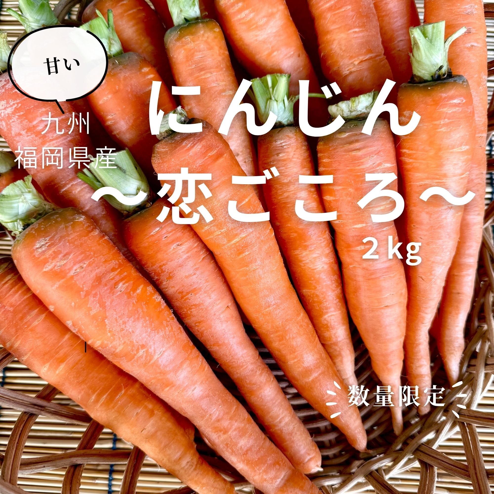 にんじん（恋ごころ）2kg|楽園彩活まんまる | ツクツク!!!ファーム
