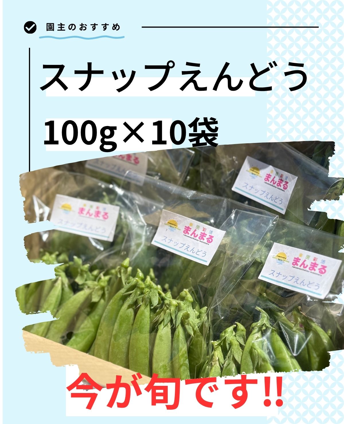 スナップえんどう1kg