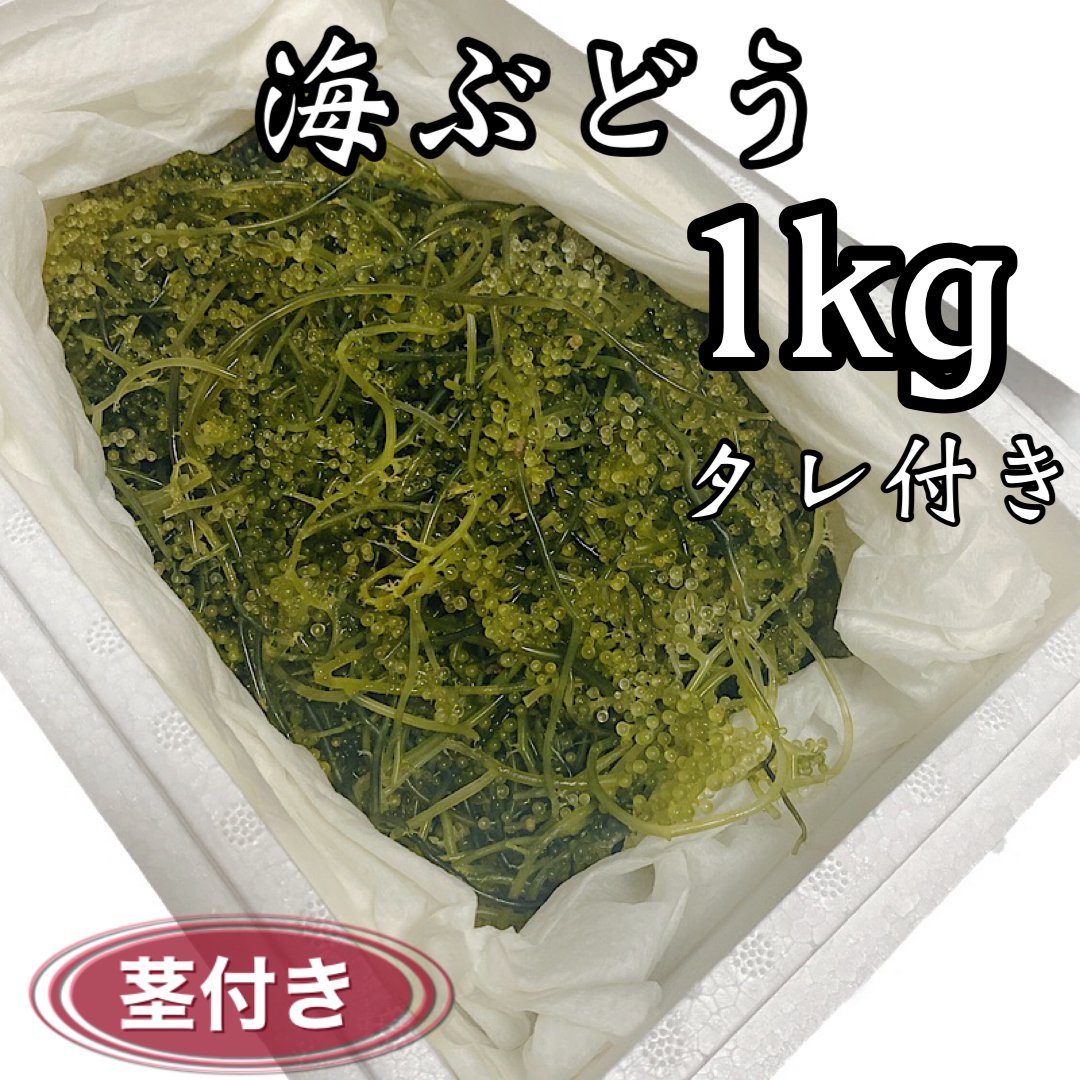 海ぶどう(茎付き)1kg/タレ付き