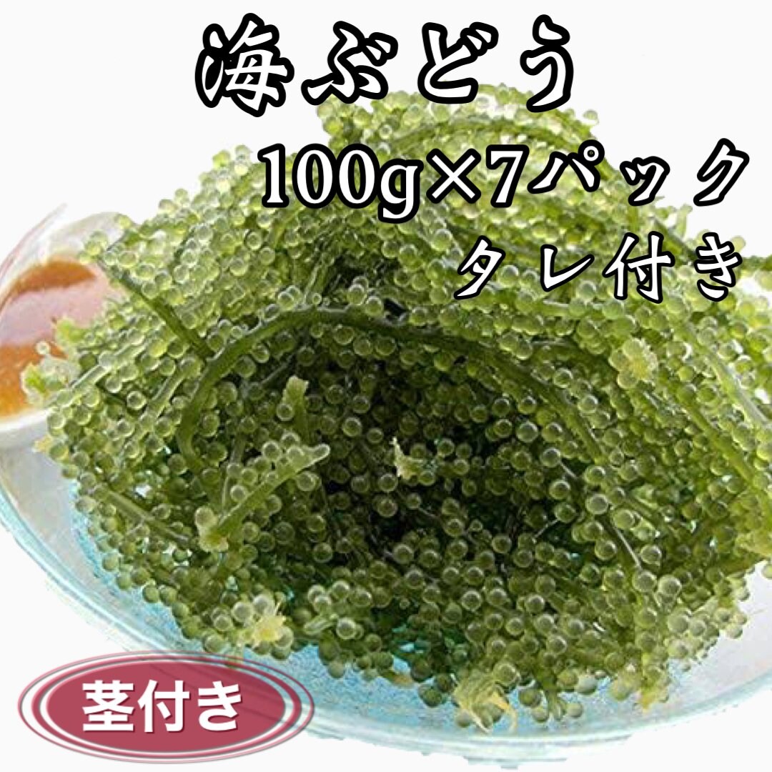 海ぶどう様 賞味期限2年】ふくらむぷちぷち海ぶどう（ぷちしゃきタイプ）30g×3pc