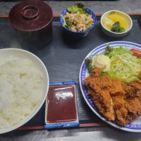 やわらかチキンカツ定食