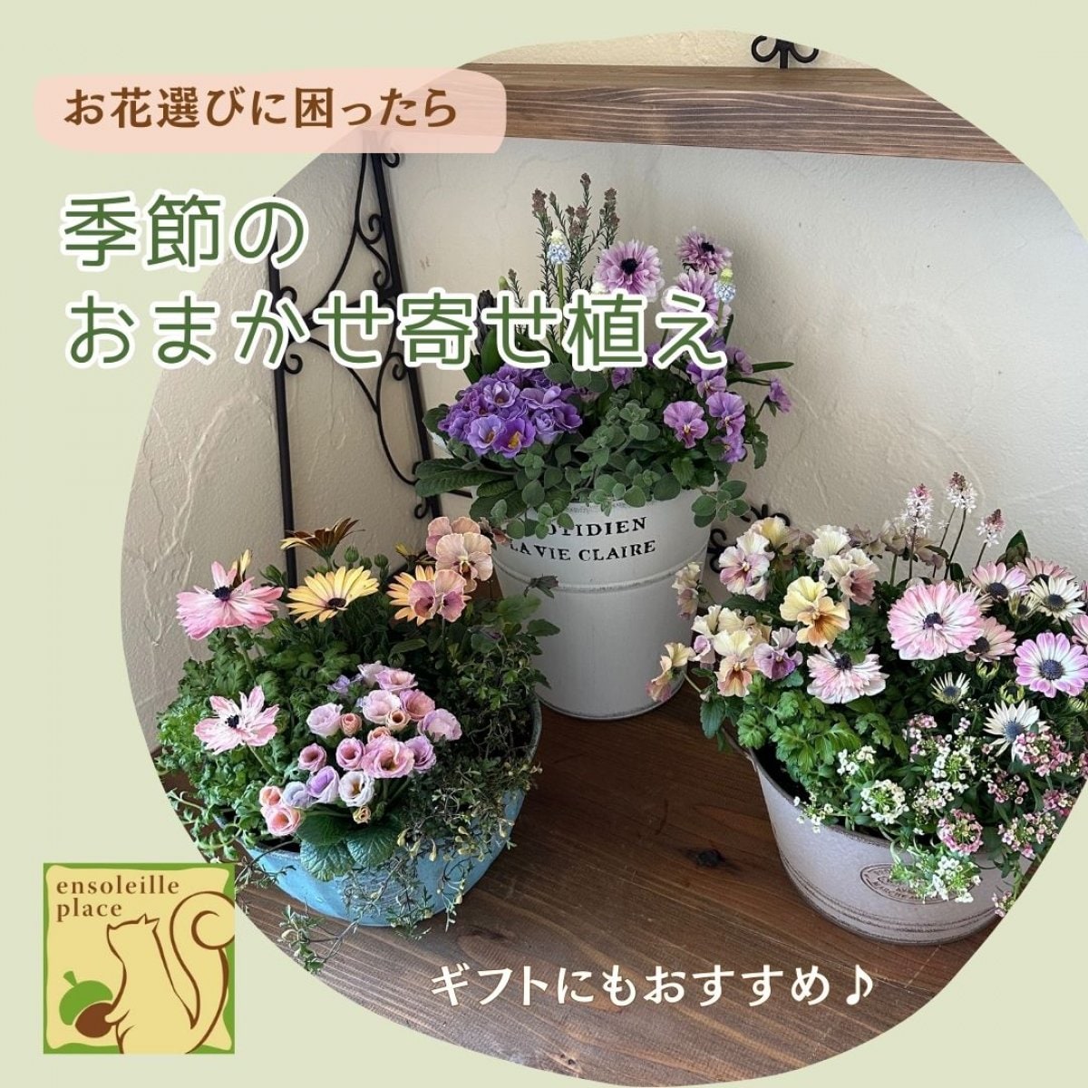 季節のおまかせ寄せ植え