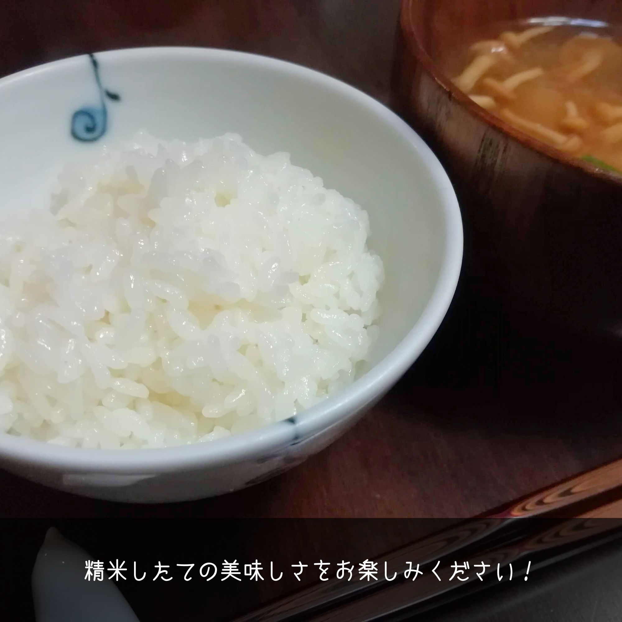 農薬8割減・化学肥料5割減】特別栽培米ななつぼし 精米10kg【令和7年